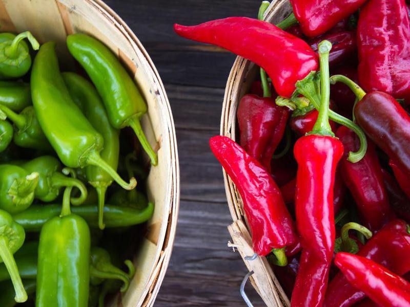 Red and Green Chile Peppers in Bushel Baskets