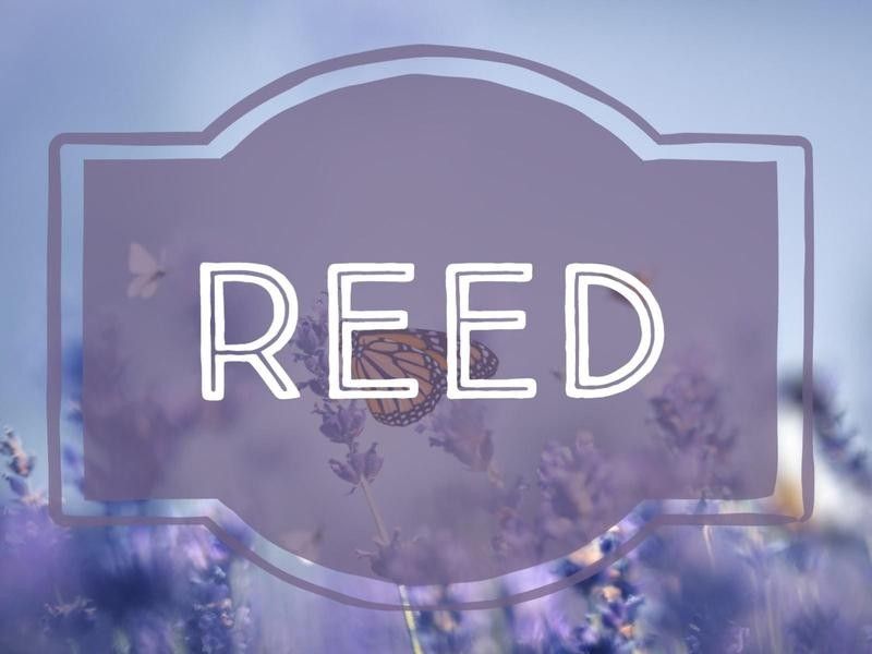 Reed nature-inspired baby name