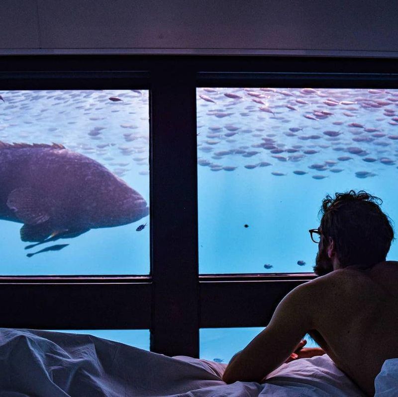 Reefsuites underwater hotel in Australia
