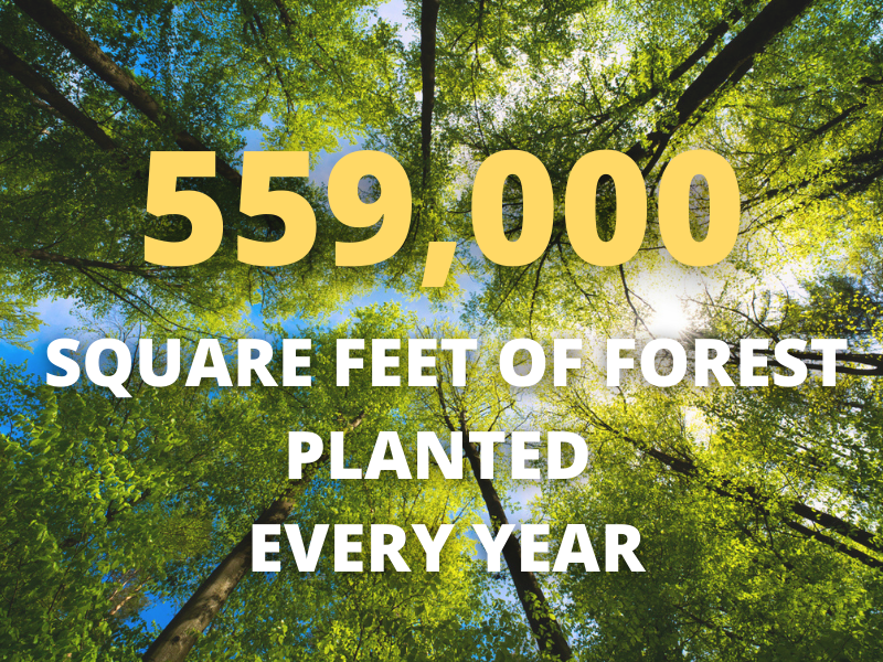 Reforestation statistics