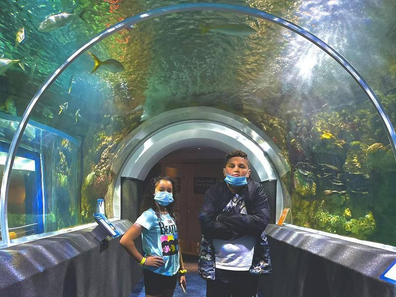 Reiman Aquarium Tunnel