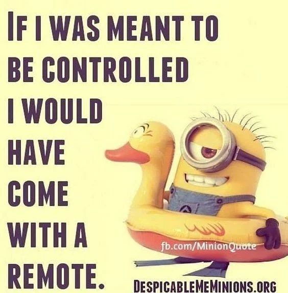Remote control minion meme