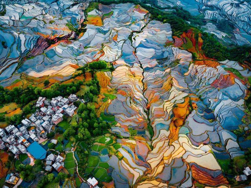 Rice terraces in China