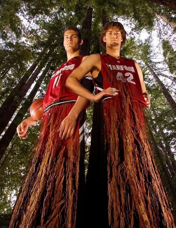 Robin and Brook Lopez, 2008
