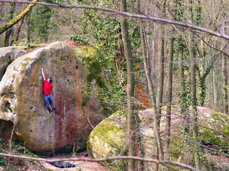 Rock climber bouldering in Fontainebleau
