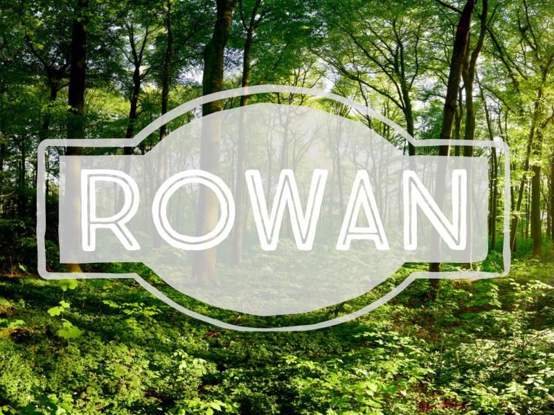 Rowan nature-inspired baby name