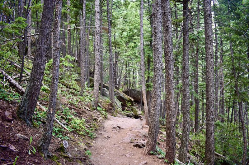 Royal Arch Trail Hike through Woods in Chautauqua Park, Boulder, Colorado