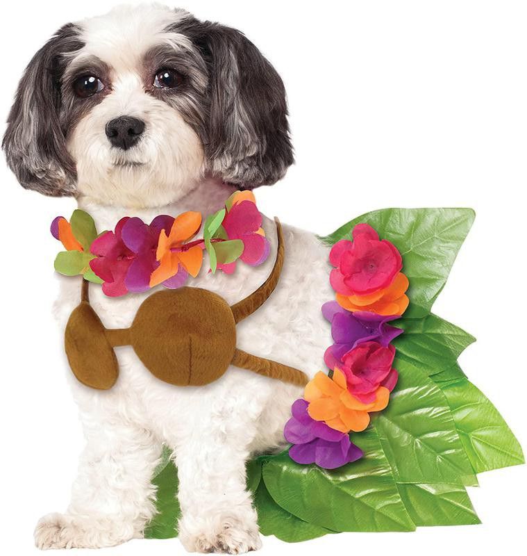 Rubie's hula girl dog costume