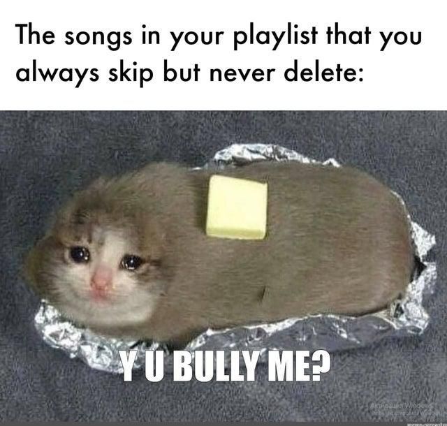 Sad cat with butter on it meme
