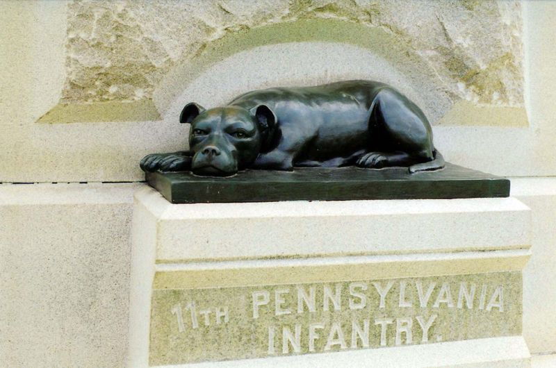 Sally, one of the first military dogs in U.S. history