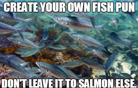 Salmon pun meme