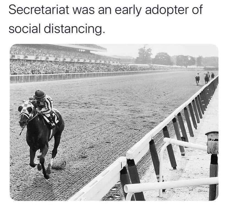 Secretariat meme