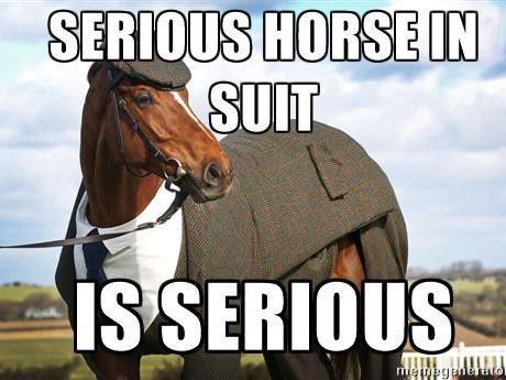 Serious horse in suit