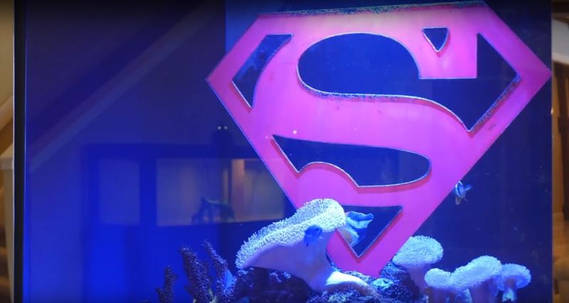 Shaq's Superman logo in his aquarium