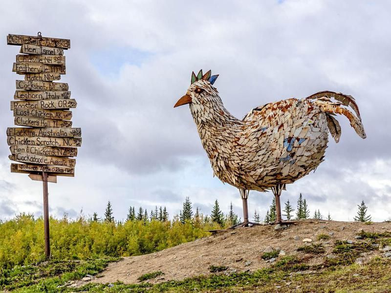 Signs in Old abandoned mining city of Chicken Alaska