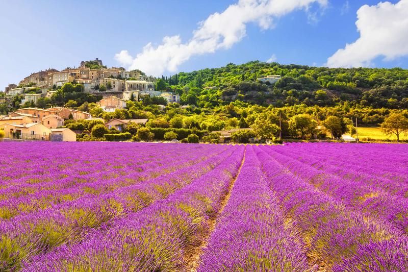 Simiane-la-Rotonde is home to lavender fields and centuries-old castles.
