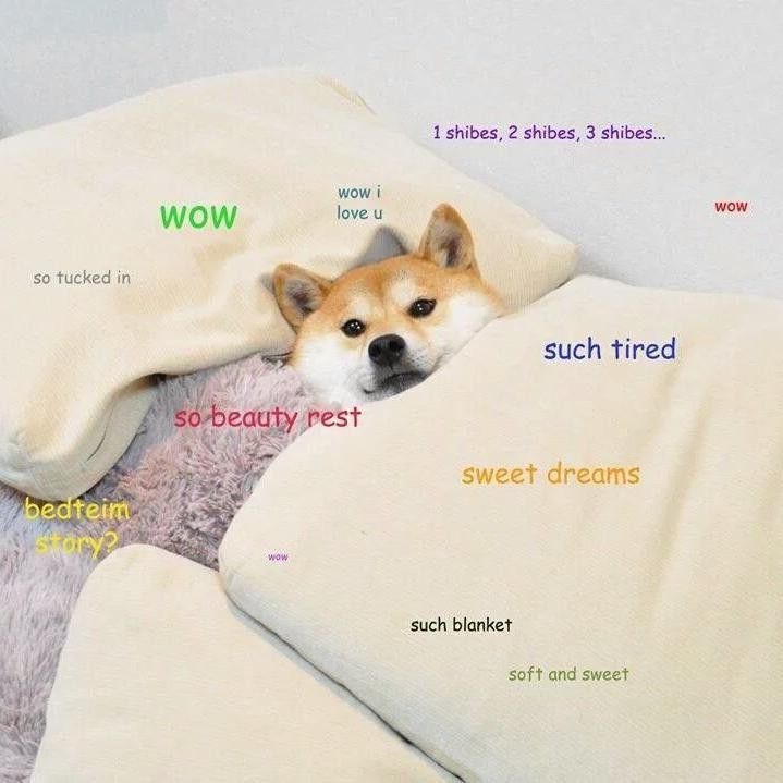 Sleepy doge meme
