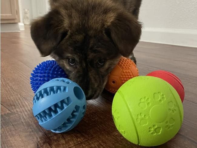 Slopehill 5 Interactive Dog Toys Balls