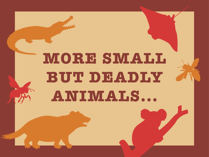 Small but deadly animal facts