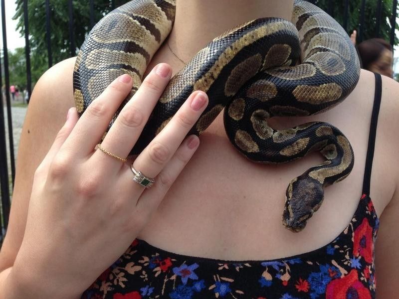 Snake around a woman's neck