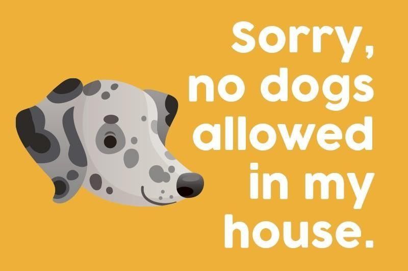 Sorry, no dogs allowed in my house.