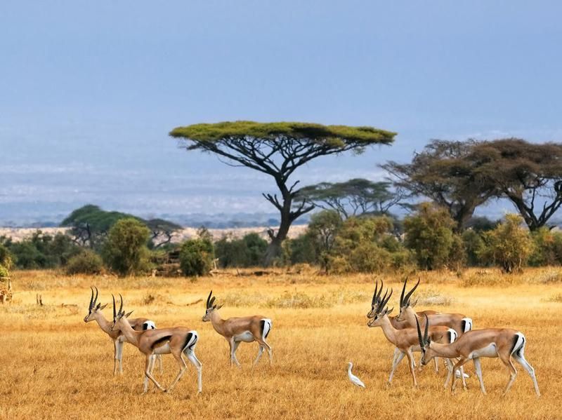 Southern Kenya