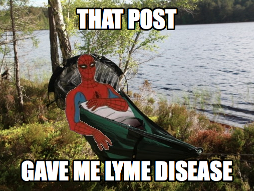 Spiderman camping meme