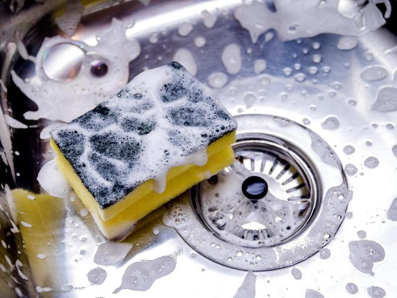 Sponge in the sink