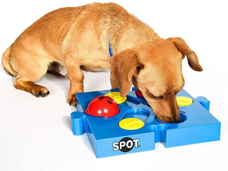 Spot Seek-a-Treat Flip 'N Slide Treat Dispenser for Dogs