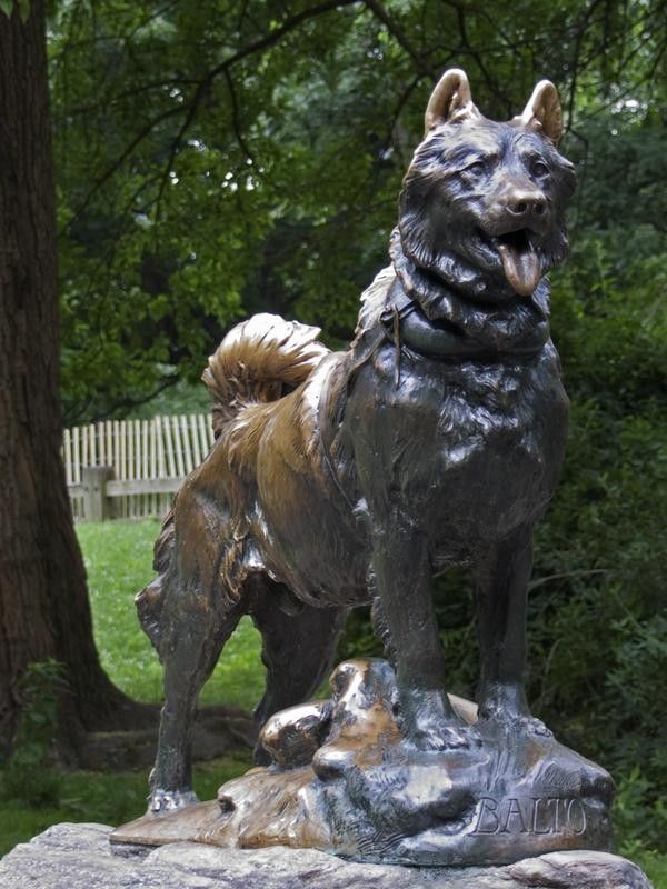 Statue of Balto the rescue dog in Central Park, New York