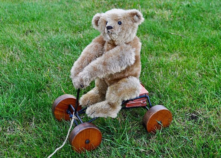 Steiff Record Teddy Bear