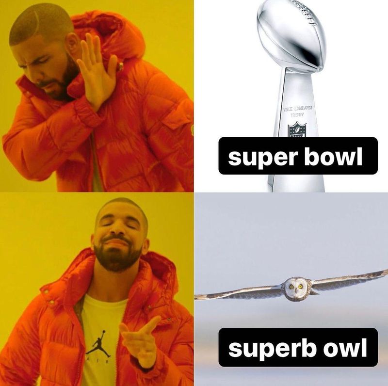 Superb owl, Drake meme