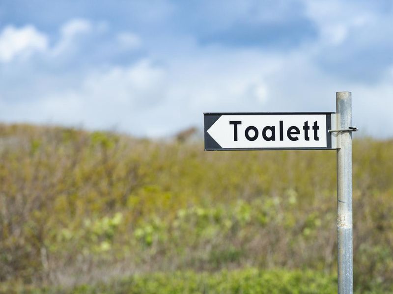 Swedish Toilet sign