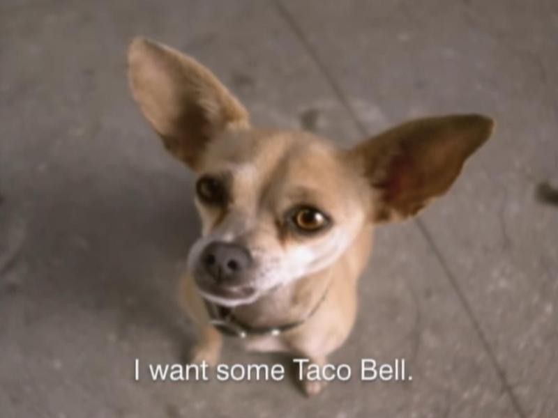 Taco Bell Chihuahua campaign