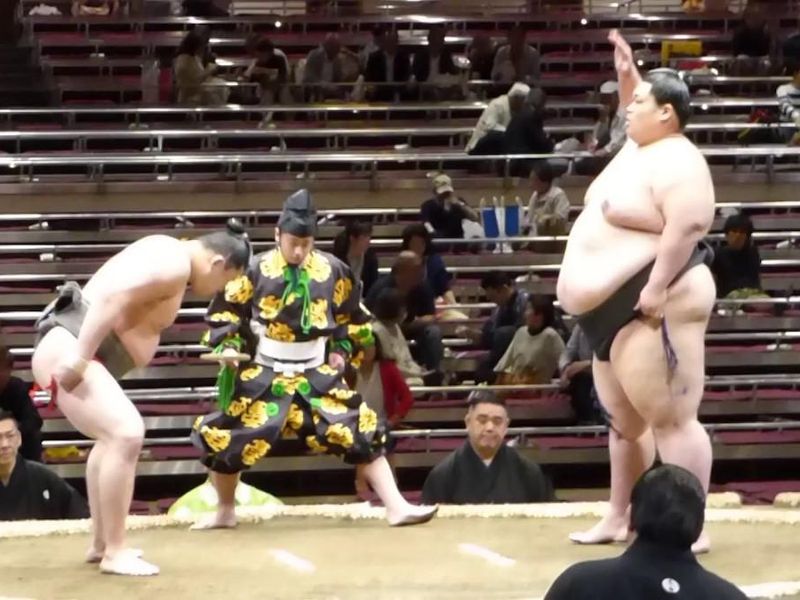 Takatenshu, Sumo Wrestler