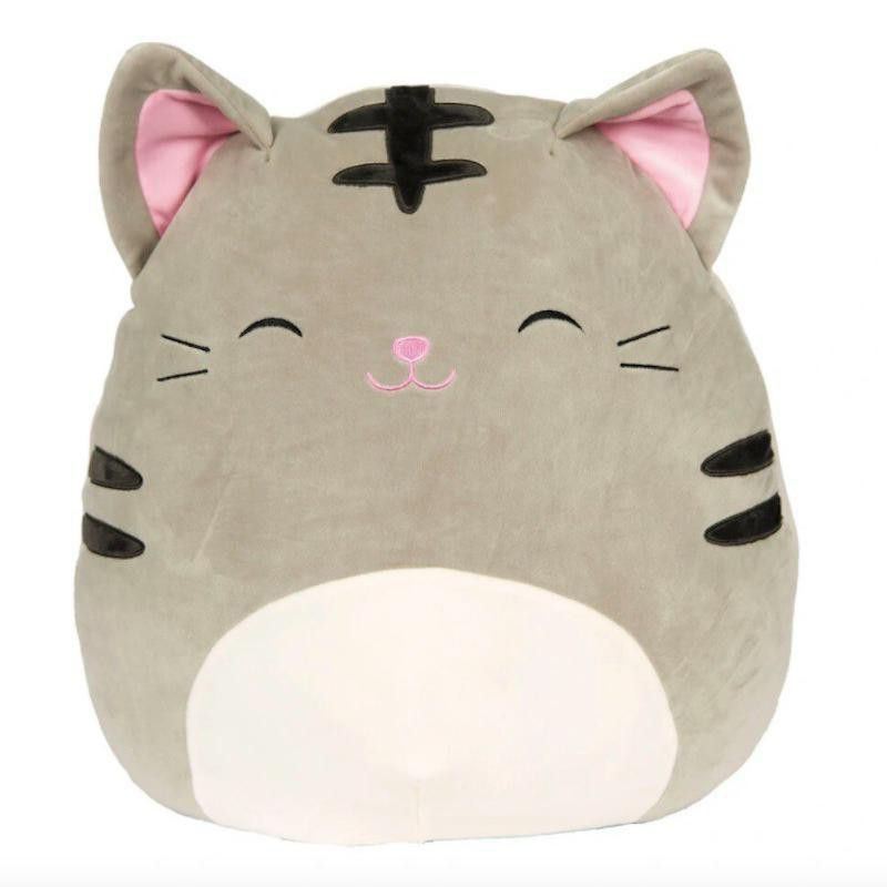 Tally the Tabby Cat Squishmallow