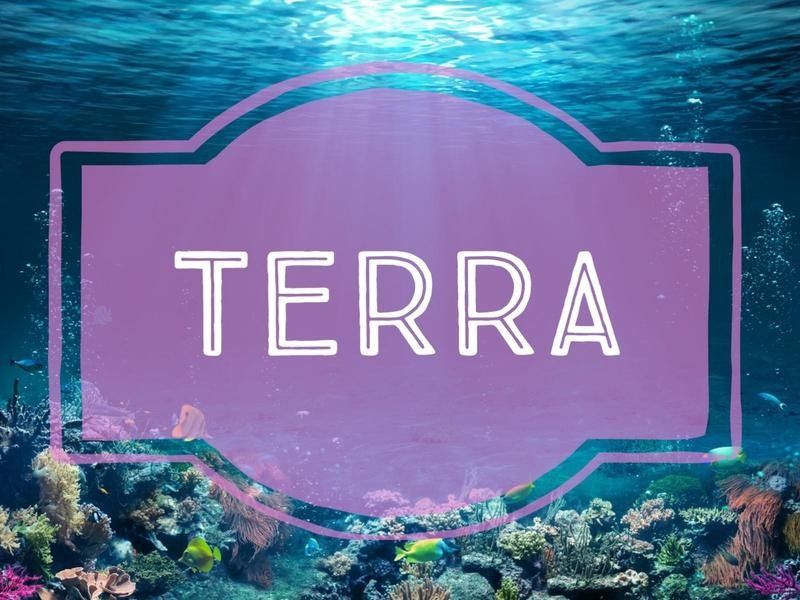 Terra nature-inspired baby name