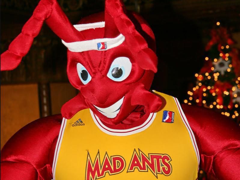 The Mad Ant