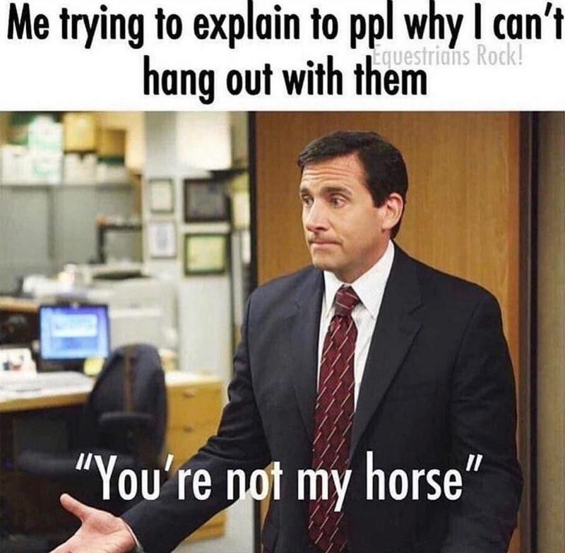 The Office not my horse meme