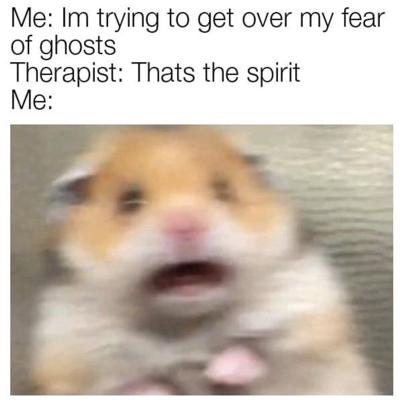 Therapy meme