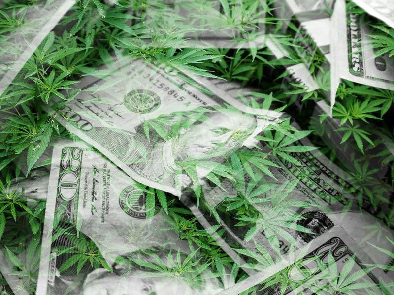 There's money in marijuana