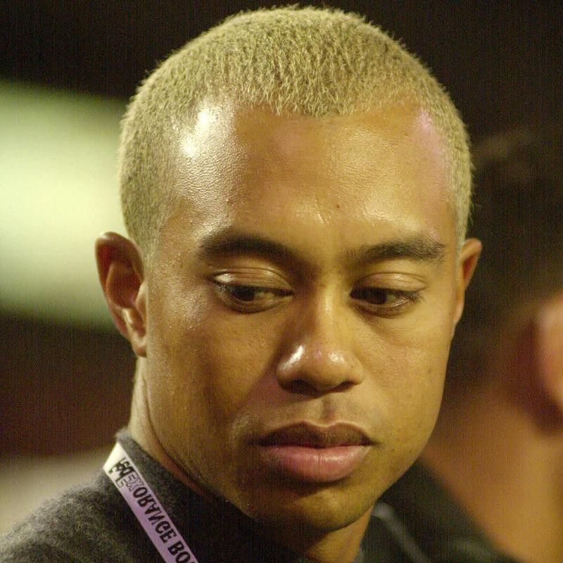 Tiger with blonde hair