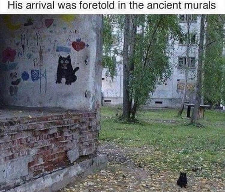Tiny cat next to cat mural