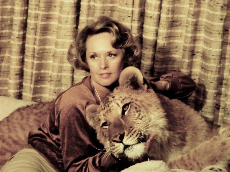 Tippi and lion