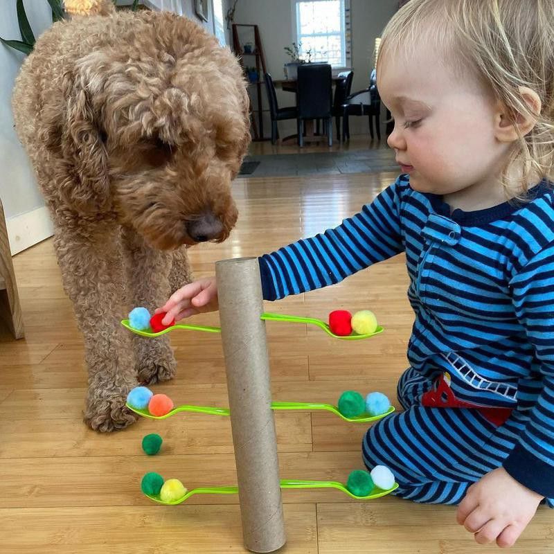 Toddler and dog playing with tube and spoons