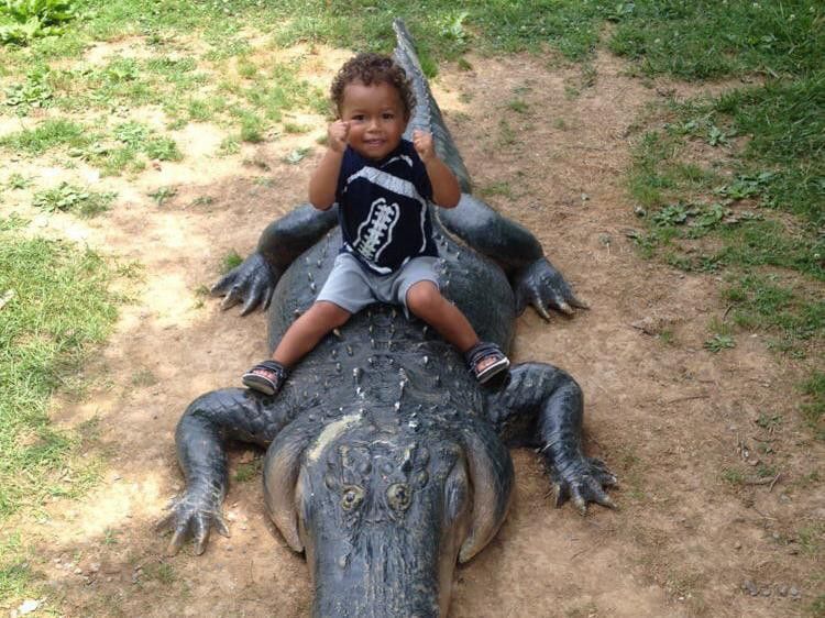 Toddler sitting on alligator