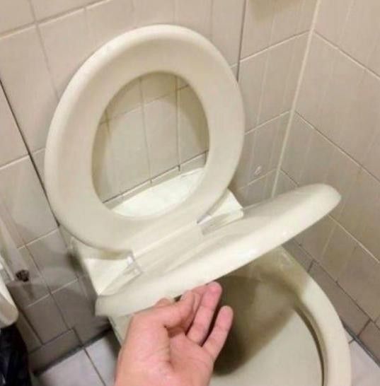 Toilet seat under the lid