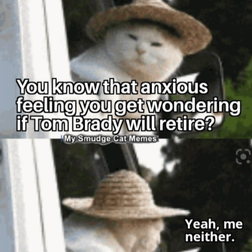 Tom Brady, cat meme