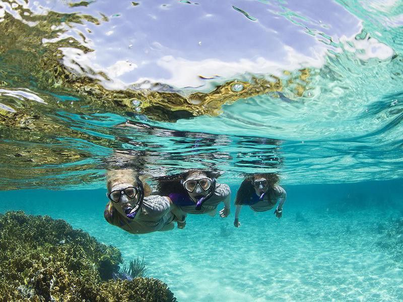 Tourists snorkeling