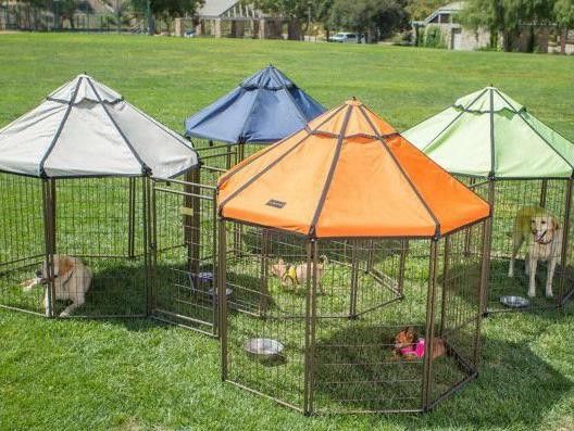 Tractor Supply dog kennel: Advantek 3-Foot Pet Gazebo With Canopy